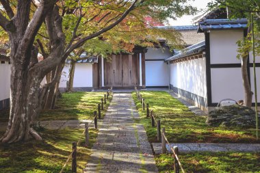 Canlı Mevsimlik Renkler Tarihi Japon Tapınağı Arazilerini Geliştiriyor 24 Kasım 2025