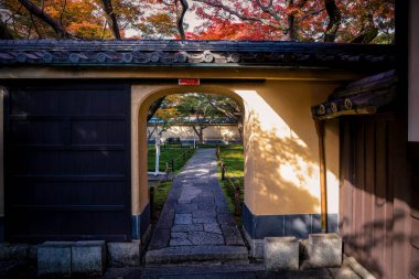 Canlı Mevsimlik Renkler Tarihi Japon Tapınağı Arazilerini Geliştiriyor 24 Kasım 2025