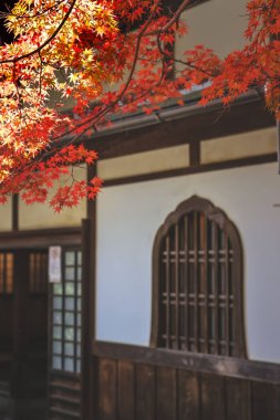 Görkemli Sonbahar Manzarası Tarihi Japon Mimarisi 24 Kasım 2025