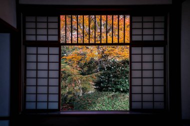 Tapınak penceresi, yaşam belirsizliğini ve tercihleri simgeliyor 24 Kasım 2025