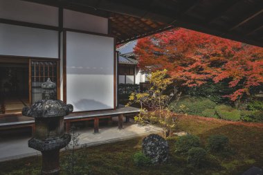 Japon Mevsimlik Güzelliğini Vurgulayan Sonbahar Yeşilliği 24 Kasım 2025