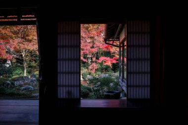 Kyoto 24 Kasım 2025 'te sakin akçaağaç bahçesine bakan Zen tapınağı penceresi