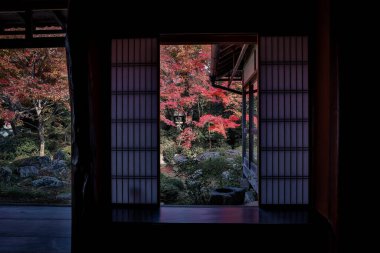 Kyoto 24 Kasım 2025 'te sakin akçaağaç bahçesine bakan Zen tapınağı penceresi