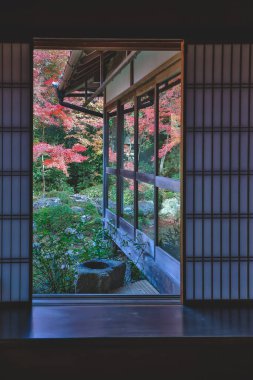 Kyoto 24 Kasım 2025 'te sakin akçaağaç bahçesine bakan Zen tapınağı penceresi