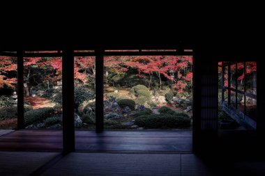 Kyoto 24 Kasım 2025 'te sakin akçaağaç bahçesine bakan Zen tapınağı penceresi
