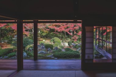 Kyoto 24 Kasım 2025 'te sakin akçaağaç bahçesine bakan Zen tapınağı penceresi