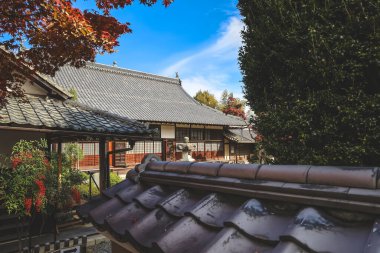 24 Kasım 2025 'te bahçe yansımalarıyla sükuneti kucaklayan bir salon.