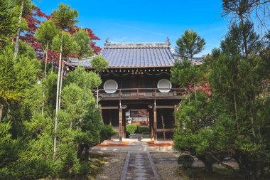 Sonbahar Yürüyüşü Vibrant Seasonal Renkler 24 Kasım 2025