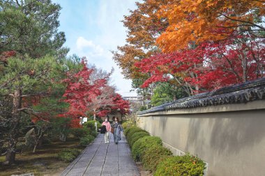 Rinzai alt tapınağında 24 Kasım 2025 'te serin bonsai bahçe pavyonu bulunmaktadır.