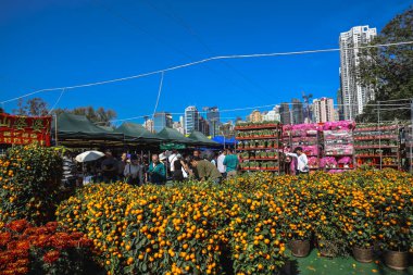 Canlı mandalina bitkileri 14 Şubat 2026 'da festival için açık hava fuarı sahnesini doldurdu.