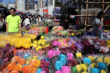 Aydınlık mevsimlik çiçekler güneş ışığı altında canlı bir pazar yeri, 14 Şubat 2026
