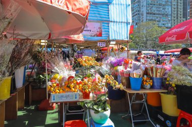 Renkli Ay Yeni Yıl standları, 14 Şubat 2026 'da parlak güneş ışığı altında ziyaretçileri çekiyor.