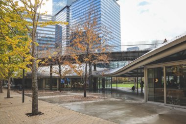 Şehir parkı Osaka İstasyonu yakınında 25 Kasım 2025 'te yeşillik ve rahatlama sunuyor.