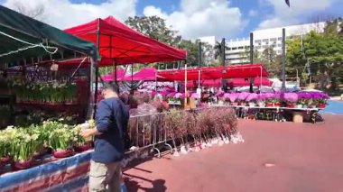 Kalabalık Çiçek Fuarı Fa Hui Park Festivali 16 Şubat 2026