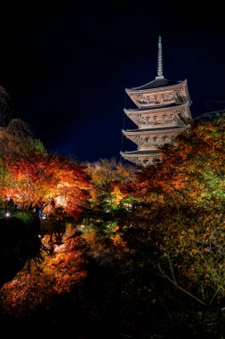 Parlak beş katlı pagoda canlı bir sonbahar yeşilliği ile aynalanmış 25 Kasım 2025