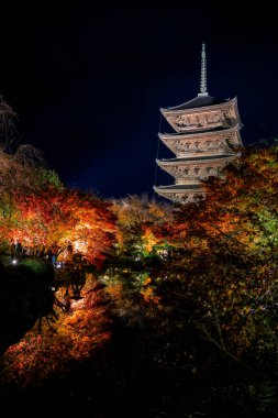 Parlak beş katlı pagoda canlı bir sonbahar yeşilliği ile aynalanmış 25 Kasım 2025