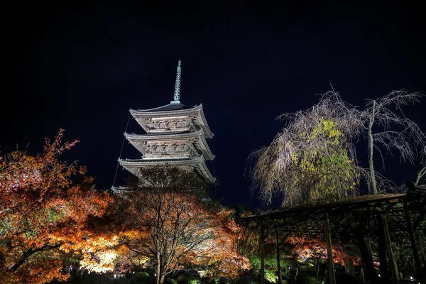25 Kasım 2025 'te Kyoto' da gece gökyüzü altında parlayan tarihi pagoda