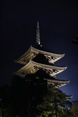 25 Kasım 2025 'te Kyoto' da gece gökyüzü altında parlayan tarihi pagoda