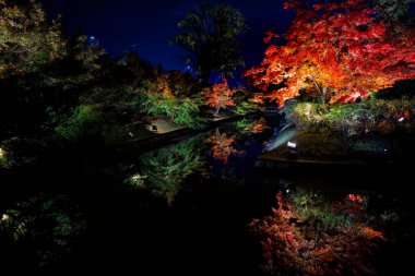 Aydınlatılmış sonbahar yaprakları sakin su yüzeyine yansıtılıyor 25 Kasım 2025