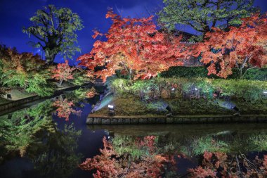 Aydınlatılmış sonbahar yaprakları sakin su yüzeyine yansıtılıyor 25 Kasım 2025