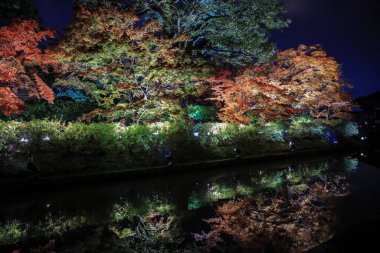 Aydınlatılmış sonbahar yaprakları sakin su yüzeyine yansıtılıyor 25 Kasım 2025