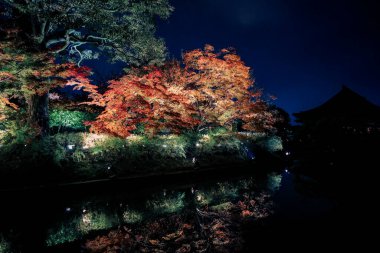 Aydınlatılmış sonbahar yaprakları sakin su yüzeyine yansıtılıyor 25 Kasım 2025