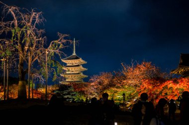 Kyoto 'nun 25 Kasım 2025 tarihli kültürel etkinlik sırasında ziyaretçileri arasında popüler bir simgesi.