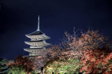 25 Kasım 2025 'te Kyoto' da gece gökyüzü altında parlayan tarihi pagoda