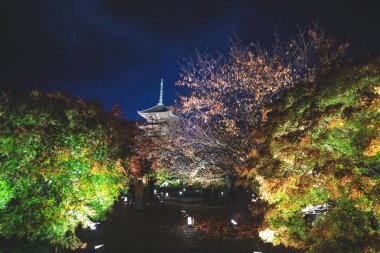 25 Kasım 2025 'te Kyoto' da gece gökyüzü altında parlayan tarihi pagoda
