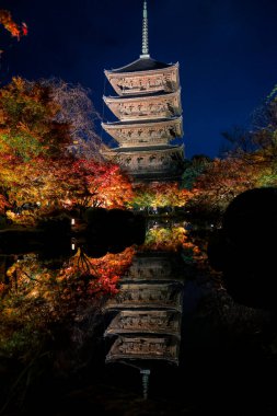 Parlak beş katlı pagoda canlı bir sonbahar yeşilliği ile aynalanmış 25 Kasım 2025