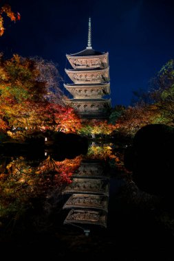 Parlak beş katlı pagoda canlı bir sonbahar yeşilliği ile aynalanmış 25 Kasım 2025