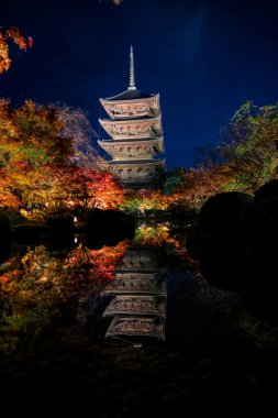 Parlak beş katlı pagoda canlı bir sonbahar yeşilliği ile aynalanmış 25 Kasım 2025