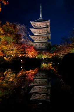 Parlak beş katlı pagoda canlı bir sonbahar yeşilliği ile aynalanmış 25 Kasım 2025