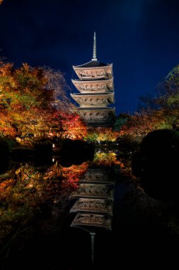 Parlak beş katlı pagoda canlı bir sonbahar yeşilliği ile aynalanmış 25 Kasım 2025