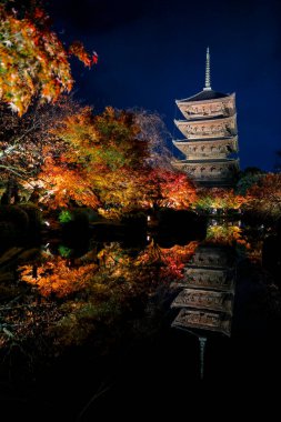 Parlak beş katlı pagoda canlı bir sonbahar yeşilliği ile aynalanmış 25 Kasım 2025