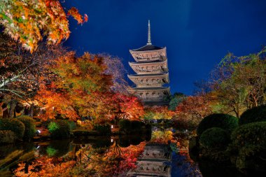 Parlak beş katlı pagoda canlı bir sonbahar yeşilliği ile aynalanmış 25 Kasım 2025