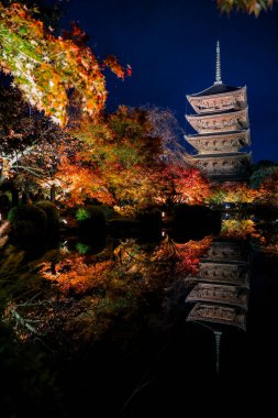 Parlak beş katlı pagoda canlı bir sonbahar yeşilliği ile aynalanmış 25 Kasım 2025