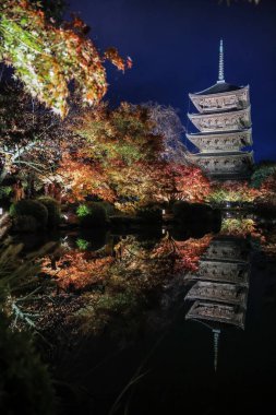 Parlak beş katlı pagoda canlı bir sonbahar yeşilliği ile aynalanmış 25 Kasım 2025