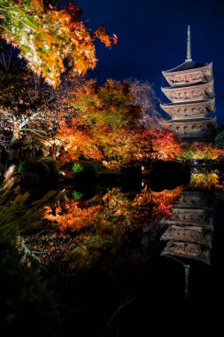 Parlak beş katlı pagoda canlı bir sonbahar yeşilliği ile aynalanmış 25 Kasım 2025