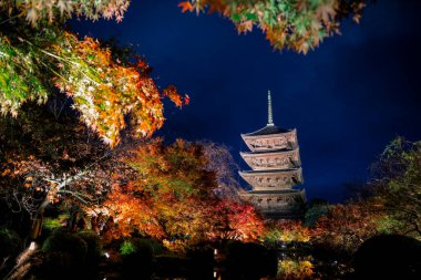 Parlak beş katlı pagoda canlı bir sonbahar yeşilliği ile aynalanmış 25 Kasım 2025