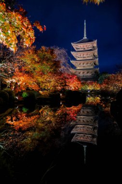 Parlak beş katlı pagoda canlı bir sonbahar yeşilliği ile aynalanmış 25 Kasım 2025