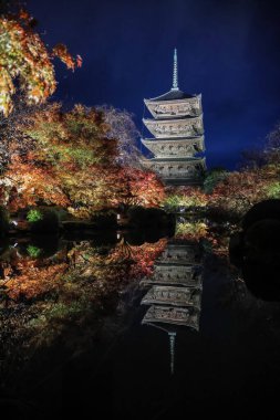 Parlak beş katlı pagoda canlı bir sonbahar yeşilliği ile aynalanmış 25 Kasım 2025