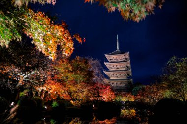 Parlak beş katlı pagoda canlı bir sonbahar yeşilliği ile aynalanmış 25 Kasım 2025