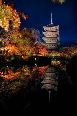 Parlak beş katlı pagoda canlı bir sonbahar yeşilliği ile aynalanmış 25 Kasım 2025