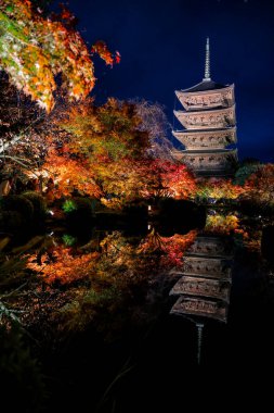 Parlak beş katlı pagoda canlı bir sonbahar yeşilliği ile aynalanmış 25 Kasım 2025