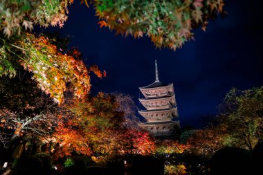 Parlak beş katlı pagoda canlı bir sonbahar yeşilliği ile aynalanmış 25 Kasım 2025