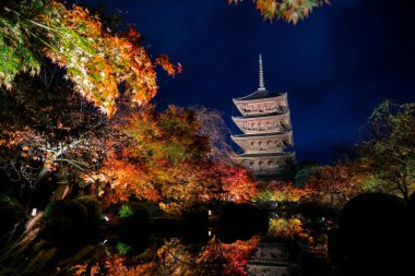 Parlak beş katlı pagoda canlı bir sonbahar yeşilliği ile aynalanmış 25 Kasım 2025