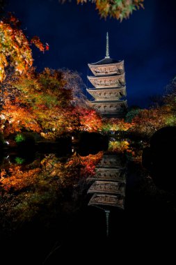 Parlak beş katlı pagoda canlı bir sonbahar yeşilliği ile aynalanmış 25 Kasım 2025