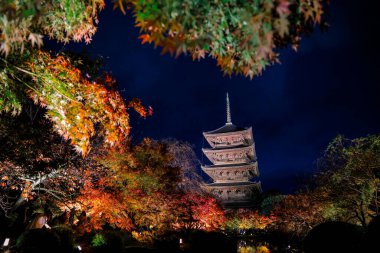 Parlak beş katlı pagoda canlı bir sonbahar yeşilliği ile aynalanmış 25 Kasım 2025