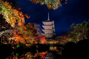 Parlak beş katlı pagoda canlı bir sonbahar yeşilliği ile aynalanmış 25 Kasım 2025